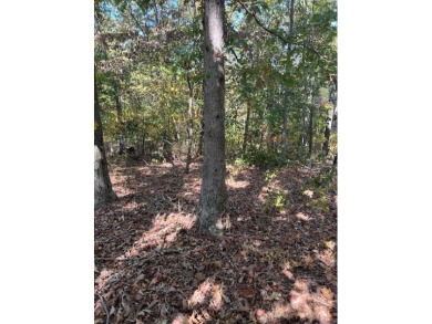 Build your dream home on this beautiful secluded lot just on Branchwood Golf Course in Arkansas - for sale on GolfHomes.com, golf home, golf lot