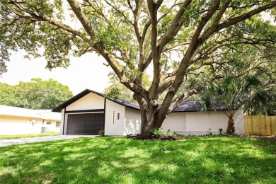 Fully Renovated Dream Home on Oversized Lot - Move-In Ready! on Seven Springs Golf and Country Club in Florida - for sale on GolfHomes.com, golf home, golf lot