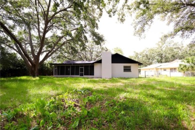 Fully Renovated Dream Home on Oversized Lot - Move-In Ready! on Seven Springs Golf and Country Club in Florida - for sale on GolfHomes.com, golf home, golf lot