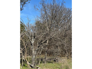 This lot located in a secured gated community of White Bluff on White Bluff Resort - Old Course in Texas - for sale on GolfHomes.com, golf home, golf lot