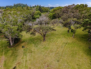 This recently remodeled two bedroom, two bath cabin is a on Volcano Golf and Country Club in Hawaii - for sale on GolfHomes.com, golf home, golf lot