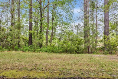 Step into luxurious living with this exceptional 3-bedroom on Palmetto Greens Golf and Country Club in South Carolina - for sale on GolfHomes.com, golf home, golf lot