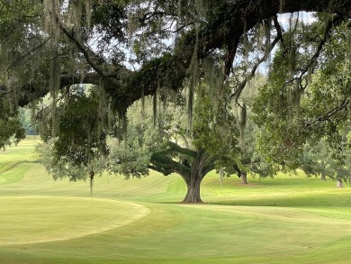 The LAST remaining GOLF COURSE LOT in Killearn Estates! The all on Killearn Country Club and Inn in Florida - for sale on GolfHomes.com, golf home, golf lot