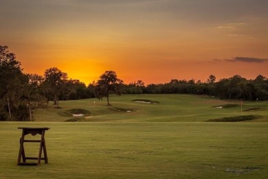 Embrace a serene lifestyle at Big Easy Ranch, offering a unique on Columbus Golf Club in Texas - for sale on GolfHomes.com, golf home, golf lot