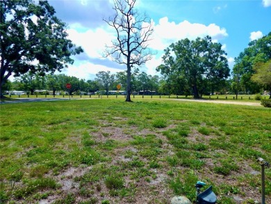 Charming 3-Bedroom, 2-Bath Home with Golf Course Views!
Welcome on Babe Zaharias Golf Course in Florida - for sale on GolfHomes.com, golf home, golf lot