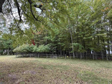 Perfect Spot to Build or Camp!     ?Why pay high waterfront on Lakeside Golf Course in Michigan - for sale on GolfHomes.com, golf home, golf lot