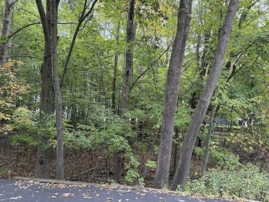 Perfect Spot to Build or Camp!     ?Why pay high waterfront on Lakeside Golf Course in Michigan - for sale on GolfHomes.com, golf home, golf lot
