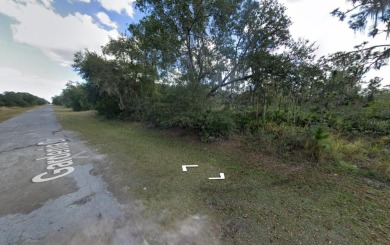 Community Features: Activity Core/Center, Deed Restrictions on Indian Lake Estates Golf and Country Club in Florida - for sale on GolfHomes.com, golf home, golf lot