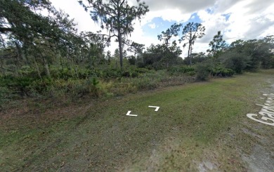 Community Features: Activity Core/Center, Deed Restrictions on Indian Lake Estates Golf and Country Club in Florida - for sale on GolfHomes.com, golf home, golf lot