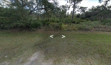 Community Features: Activity Core/Center, Deed Restrictions on Indian Lake Estates Golf and Country Club in Florida - for sale on GolfHomes.com, golf home, golf lot