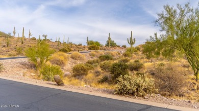 Amazing custom homesite situated among the picturesque community on Gold Canyon Golf Resort - Sidewinder in Arizona - for sale on GolfHomes.com, golf home, golf lot