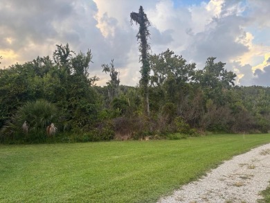 Nestled in the highly sought-after 55+ community of IMPERIAL on Bay Tree Golf Course in Florida - for sale on GolfHomes.com, golf home, golf lot