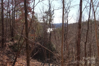 Enjoy stunning views of both Lake Lure and Rumbling Bald on Rumbling Bald Resort on Lake Lure in North Carolina - for sale on GolfHomes.com, golf home, golf lot
