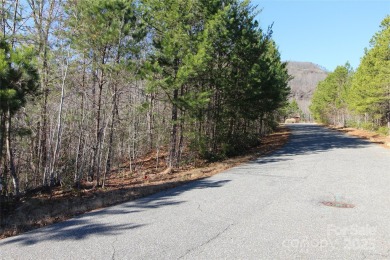 Enjoy stunning views of both Lake Lure and Rumbling Bald on Rumbling Bald Resort on Lake Lure in North Carolina - for sale on GolfHomes.com, golf home, golf lot