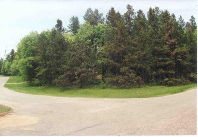 Lake Arrowhead Lake Access Homesite! Conveniently located on Lake Arrowhead Golf Course - The Lakes in Wisconsin - for sale on GolfHomes.com, golf home, golf lot