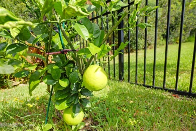 *SELLER IS OFFERING 5K TOWARD BUYER'S CLOSING COSTS/RATE BUY on Slammer and Squire Golf Course in Florida - for sale on GolfHomes.com, golf home, golf lot