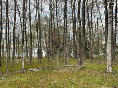 Wooded 4 acre lot on Chebeague Island with potentials for an on Great Chebeague Golf Club in Maine - for sale on GolfHomes.com, golf home, golf lot