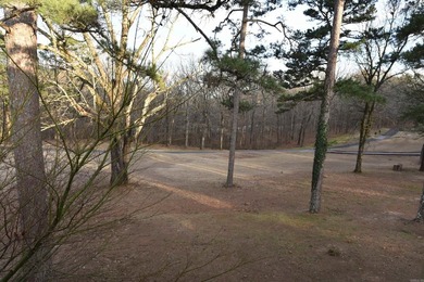 Experience the casual lifestyle of golf course living in this on Indian Hills Country Club in Arkansas - for sale on GolfHomes.com, golf home, golf lot