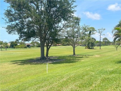 A room with a view.  This lanai overlooks two fairways and you on Spanish Wells Golf and Country Club in Florida - for sale on GolfHomes.com, golf home, golf lot