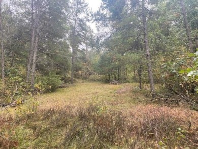 4.913 Wooded Acres in Rome with NEW septic, 6-inch well on Lake Arrowhead Golf Course - The Pines in Wisconsin - for sale on GolfHomes.com, golf home, golf lot