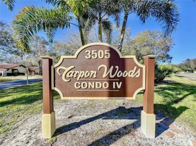 Beautiful end unit condo, located on tranquil pond with serene on Tarpon Woods Golf Club in Florida - for sale on GolfHomes.com, golf home, golf lot