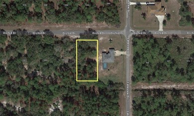Come build your forever home on this one-half acre lot located on Indian Lake Estates Golf and Country Club in Florida - for sale on GolfHomes.com, golf home, golf lot