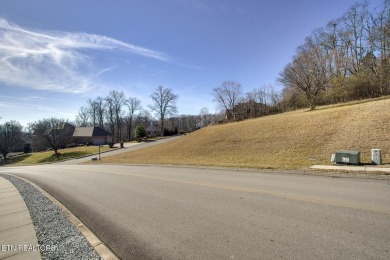 Beautiful panoramic city skyline and mountain views abound from on Landmark Golf Club At Avalon in Tennessee - for sale on GolfHomes.com, golf home, golf lot