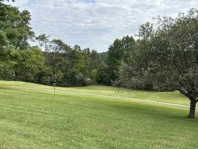 Beautifully remodeled home with panoramic views of the mountains on Dandridge Golf and Country Club in Tennessee - for sale on GolfHomes.com, golf home, golf lot