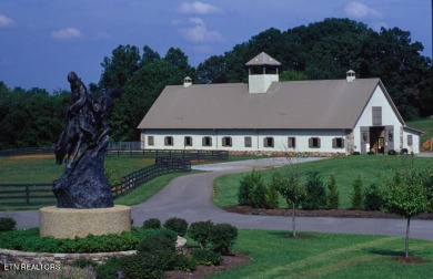 Want to be on the water with a dock right in your back yard but on Rarity Bay Country Club - Loudon in Tennessee - for sale on GolfHomes.com, golf home, golf lot