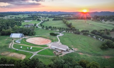 Want to be on the water with a dock right in your back yard but on Rarity Bay Country Club - Loudon in Tennessee - for sale on GolfHomes.com, golf home, golf lot