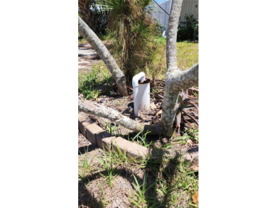Golden Beach - Venice Island | Private Deeded Beach Access | No on Lake Venice Golf Club in Florida - for sale on GolfHomes.com, golf home, golf lot