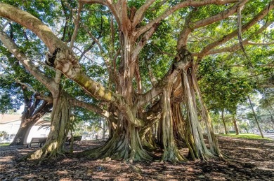 Golden Beach - Venice Island | Private Deeded Beach Access | No on Lake Venice Golf Club in Florida - for sale on GolfHomes.com, golf home, golf lot