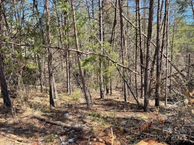 Imagine the endless opportunities awaiting you with this on Reems Creek Golf Club in North Carolina - for sale on GolfHomes.com, golf home, golf lot