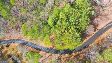 Discover the perfect opportunity to create your custom mountain on The Orchard Golf and Country Club in Georgia - for sale on GolfHomes.com, golf home, golf lot