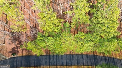 An exceptional opportunity awaits in The Orchard, one of on The Orchard Golf and Country Club in Georgia - for sale on GolfHomes.com, golf home, golf lot