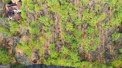 An exceptional opportunity awaits in The Orchard, one of on The Orchard Golf and Country Club in Georgia - for sale on GolfHomes.com, golf home, golf lot