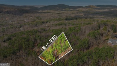 An exceptional opportunity awaits in The Orchard, one of on The Orchard Golf and Country Club in Georgia - for sale on GolfHomes.com, golf home, golf lot