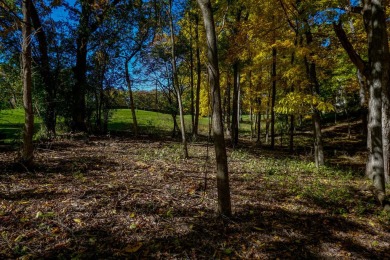 Welcome home! This beautiful wooden lot offers stunning views! on Geneva National Golf Club in Wisconsin - for sale on GolfHomes.com, golf home, golf lot