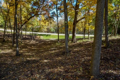 Welcome home! This beautiful wooden lot offers stunning views! on Geneva National Golf Club in Wisconsin - for sale on GolfHomes.com, golf home, golf lot