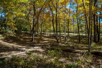 Welcome home! This beautiful wooden lot offers stunning views! on Geneva National Golf Club in Wisconsin - for sale on GolfHomes.com, golf home, golf lot