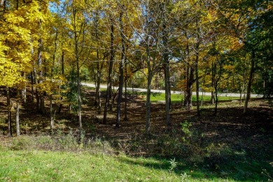 Welcome home! This beautiful wooden lot offers stunning views! on Geneva National Golf Club in Wisconsin - for sale on GolfHomes.com, golf home, golf lot