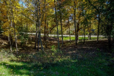 Welcome home! This beautiful wooden lot offers stunning views! on Geneva National Golf Club in Wisconsin - for sale on GolfHomes.com, golf home, golf lot