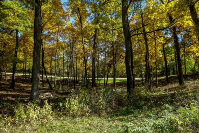 You deserve a lot like this! Imagine coming home every day to on Geneva National Golf Club in Wisconsin - for sale on GolfHomes.com, golf home, golf lot