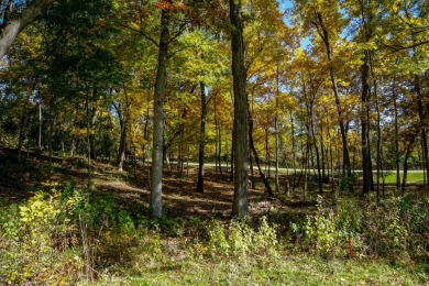 You deserve a lot like this! Imagine coming home every day to on Geneva National Golf Club in Wisconsin - for sale on GolfHomes.com, golf home, golf lot