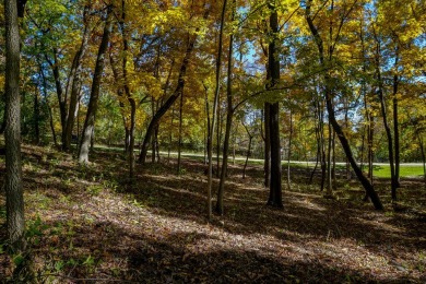 You deserve a lot like this! Imagine coming home every day to on Geneva National Golf Club in Wisconsin - for sale on GolfHomes.com, golf home, golf lot