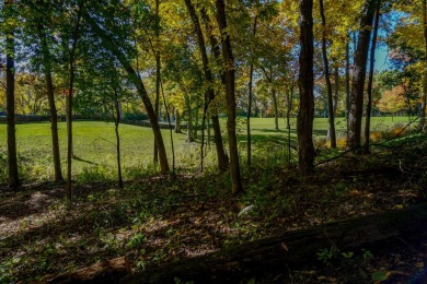 You deserve a lot like this! Imagine coming home every day to on Geneva National Golf Club in Wisconsin - for sale on GolfHomes.com, golf home, golf lot