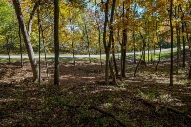 You deserve a lot like this! Imagine coming home every day to on Geneva National Golf Club in Wisconsin - for sale on GolfHomes.com, golf home, golf lot