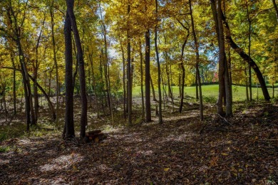 You deserve a lot like this! Imagine coming home every day to on Geneva National Golf Club in Wisconsin - for sale on GolfHomes.com, golf home, golf lot