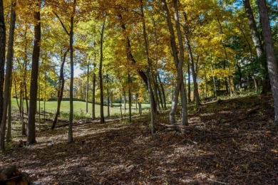 You deserve a lot like this! Imagine coming home every day to on Geneva National Golf Club in Wisconsin - for sale on GolfHomes.com, golf home, golf lot