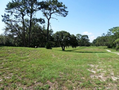 This unique opportunity allows for the purchase of a property on Rainbow Springs Golf and Country Club in Florida - for sale on GolfHomes.com, golf home, golf lot